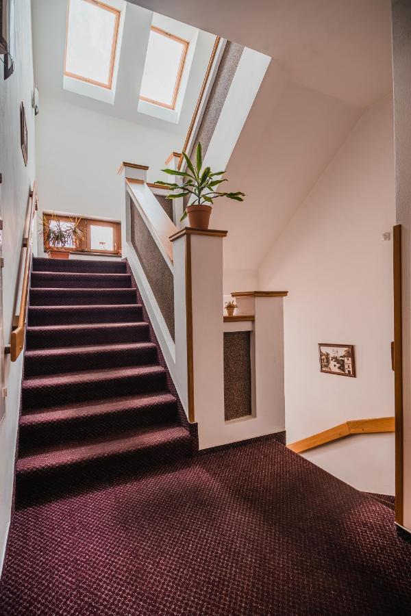 Hotel Krajka**** Vamberk Екстер'єр фото